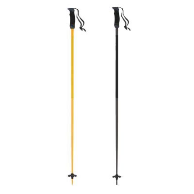 Atomic AMT SQS Ski Poles 23/24