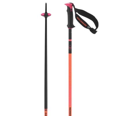 Salomon Polar Pro S3 Ski Poles 25/26