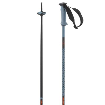 Salomon Polar Pro Ski Poles 25/26