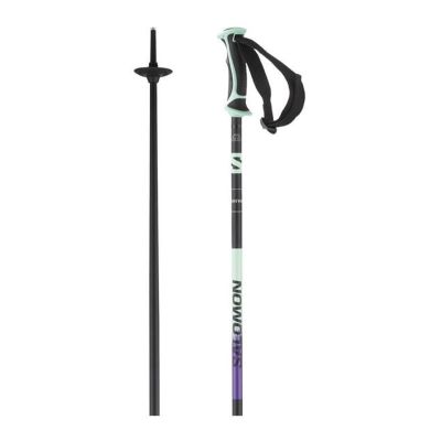 Salomon SHIVA SKI POLES 23/24