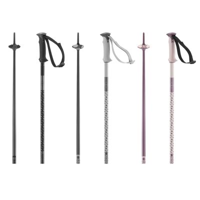 Salomon Polar Ski Poles 25/26