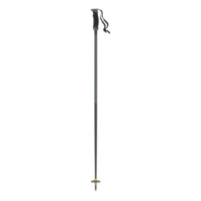 Atomic Redster Q SQS Ski Poles 23/24