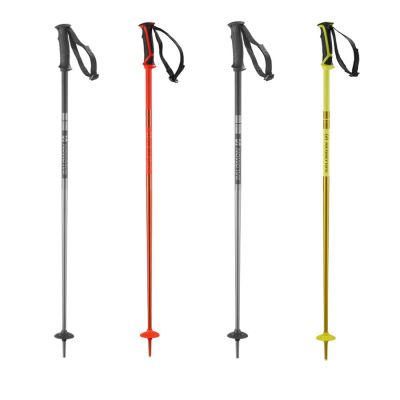 Salomon ARCTIC SKI POLES 23/24